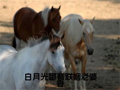白月光哪有联姻老婆香小说(霍彻孟时初)全本完整阅读最新章节（白月光哪有联姻老婆香）_笔趣阁