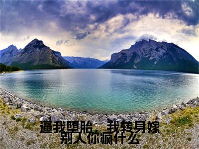独家逼我堕胎，我转身嫁别人你疯什么：结局+番外精编之作（楚韵傅庭州）电子书畅享阅读
