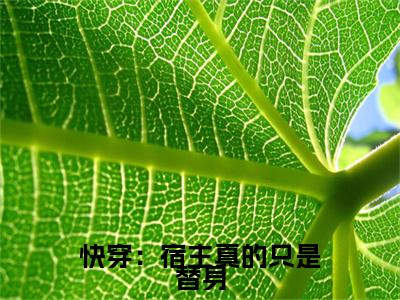 宋悦笙小说无删减阅读清爽版（快穿：宿主真的只是替身）外篇+续集