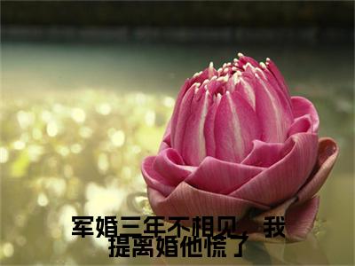 童娇娇沈自清军婚三年不相见，我提离婚他慌了小说（军婚三年不相见，我提离婚他慌了）前传+全书阅读新作预览