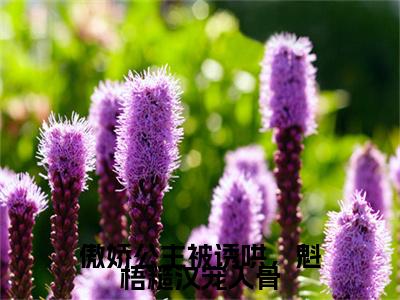 傲娇公主被诱哄，魁梧糙汉宠入骨小说(傲娇公主被诱哄，魁梧糙汉宠入骨)终章+番外（陆川宋锦棠）一口气阅读