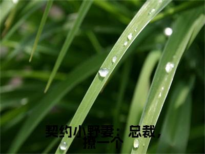 契约小野妻：总裁，撩一个：+番外+后续在线阅读薛沉羿夏盛妍