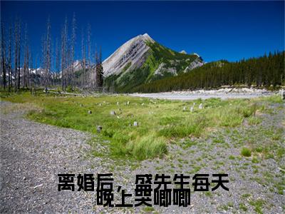 离婚后，盛先生每天晚上哭唧唧小说番外+结局（荣甜盛卓辰）小说在线阅读