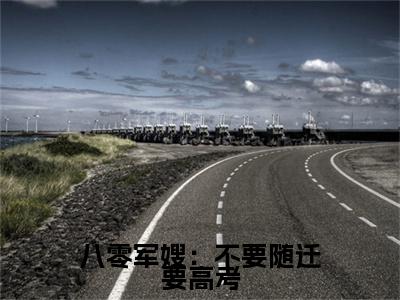 （八零军嫂：不要随迁要高考）八零军嫂：不要随迁要高考小说(顾砚东叶知安)小说全集速览无广告高口碑小说