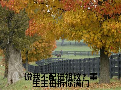 最新章节_笔趣阁（唐婉凝）唐婉凝小说(说我不配进祖坟？重生主母拆你满门)在线畅读阅读