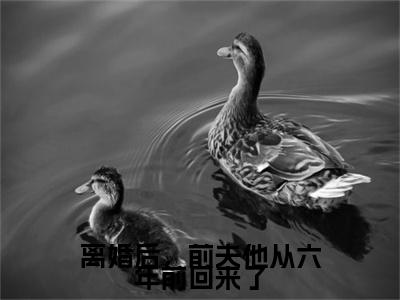 热门章节_笔趣阁（离婚后，前夫他从六年前回来了）离婚后，前夫他从六年前回来了小说(芮宁周津嗣)章节在线阅读