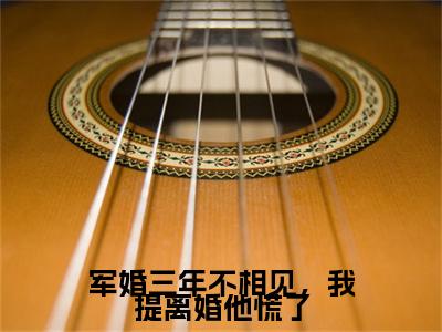 军婚三年不相见，我提离婚他慌了：结局+番外（童娇娇沈自清）全本完整+后续+结局在线阅读