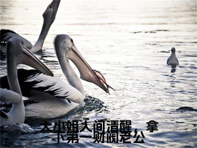 全网首发大小姐人间清醒，拿下第一财阀老公小说叫什么(顾可爱帝京战)（大小姐人间清醒，拿下第一财阀老公）全书阅读纯净阅读