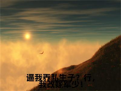 小说宋芸顾知珩逼我养私生子？行，我改嫁军少！(宋芸顾知珩)已更新+无删减（逼我养私生子？行，我改嫁军少！）