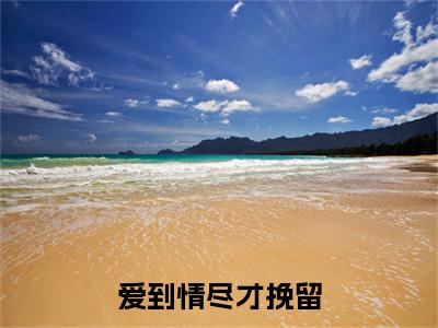 爱到情尽才挽留苏心染陆瑾辞小说完本+番外（苏心染陆瑾辞）畅享阅读