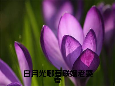 白月光哪有联姻老婆香完结篇(白月光哪有联姻老婆香)章节目录+章节前文（霍彻孟时初）全章无套路在线