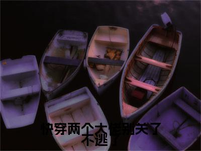 完结篇小说叶芸芸方窈小说(快穿两个大佬别关了不逃了)已更新+无删减（叶芸芸方窈）无广告