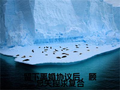 小说留下离婚协议后，顾总失控求复合小说已更新+番外篇章（姜眠顾宇）纯净阅读