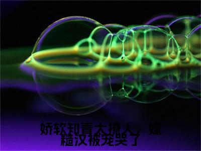 （温然）温然小说(娇软知青太撩人，嫁糙汉被宠哭了)小说全集速览无广告高口碑小说
