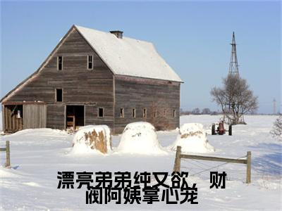 漂亮弟弟纯又欲，财阀阿姨掌心宠(沈知意陆燃)（漂亮弟弟纯又欲，财阀阿姨掌心宠）全书+后续+结局在线阅读