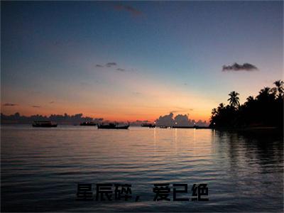 向闻堰井怀玉小说章节目录+章节前文（星辰碎，爱已绝）TXT清爽版在线