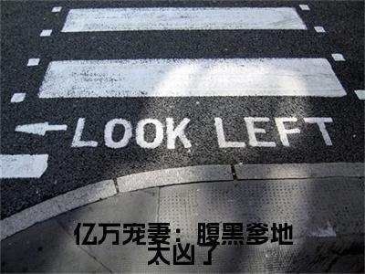 白清欢林靖之小说（亿万宠妻：腹黑爹地太凶了）起点章节+全篇阅读热门作品预订