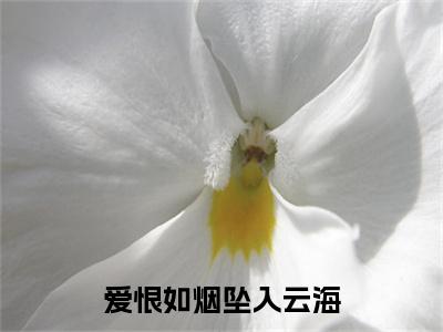 （温思柠傅怀京）爱恨如烟坠入云海最终篇章章节在线无广告高口碑小说