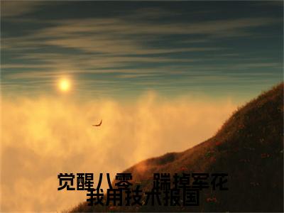 觉醒八零，踹掉军花我用技术报国小说(觉醒八零，踹掉军花我用技术报国)终章+番外（林冬声）一口气阅读