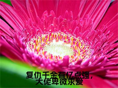安若曦萧渊复仇千金有亿点强，大佬卑微求爱小说整本+后续（复仇千金有亿点强，大佬卑微求爱）清爽版阅读