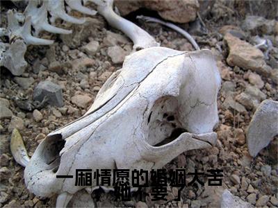 一厢情愿的婚姻太苦，她不要了终章（顾炎霍晚棠）完整章节列表_笔趣阁