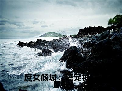 庶女倾城：盛宠神医凰后：结局+番外免费品鉴(周雨碟柳文)全书在线无广告高口碑小说