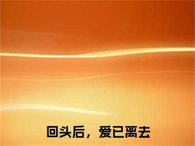 （苏晚傅辞）回头后，爱已离去苏晚傅辞最终篇章(回头后，爱已离去)全书在线无广告高口碑小说