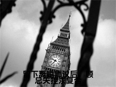 姜眠顾宇小说完本章节前文+全篇阅读（留下离婚协议后，顾总失控求复合）连载中