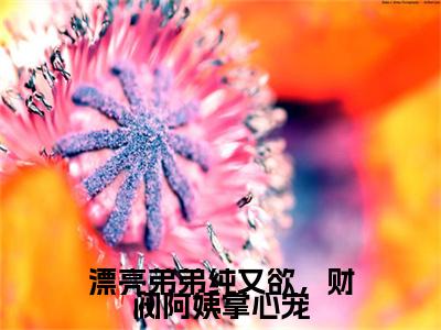 独家沈知意陆燃无删减(漂亮弟弟纯又欲，财阀阿姨掌心宠)（沈知意陆燃）TXT免费版阅读