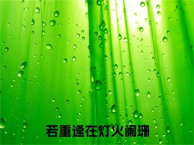 （若重逢在灯火阑珊）宋凛州沈知意：结局+番外精品选集起点章节+阅读即将发布预订