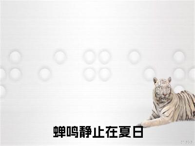 蝉鸣静止在夏日小说无删减阅读无干扰（林暖暖宋清钰）番外+续集