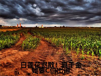 林安安小说(白莲花退散！真千金她要C位出道)（林安安）完整章节列表_笔趣阁