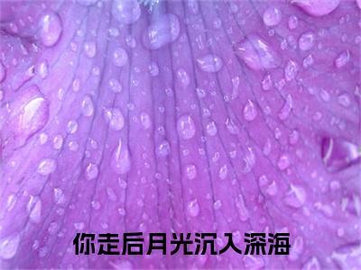 你走后月光沉入深海：+后续无删版（简明月顾烬深）终章阅读无广告