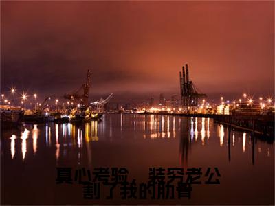 （真心考验，装穷老公割了我的肋骨）虞清秦风后续一口气无广告全书章节表