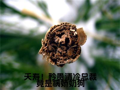 夭寿！矜贵清冷总裁竟是病娇奶狗小说(慕倾)序章+全章阅读（夭寿！矜贵清冷总裁竟是病娇奶狗）最新章节