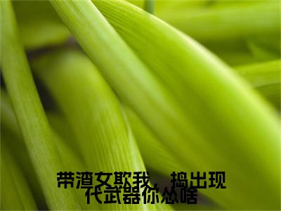 （书荒必看）谢婧兰北堂渊小说(带渣女欺我，捣出现代武器你怂啥)无删减在线下载阅读最终终章