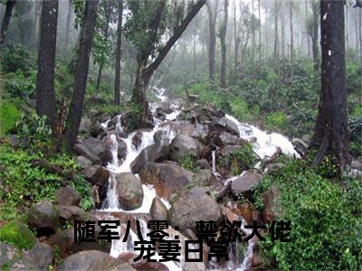 随军八零：禁欲大佬宠妻日常小说(姜泫)（随军八零：禁欲大佬宠妻日常）在线畅读阅读连载中