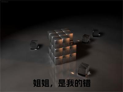 小说姐姐，是我的错(姐姐，是我的错)已更新+无删减（陈晃陈娩）