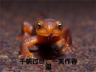 苏欣怡应宇航小说(千帆过尽，一笑作春温)章节目录+起点章节（苏欣怡应宇航）全篇清爽版在线