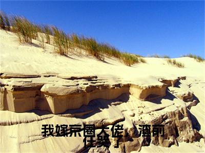 祁司礼安立盈：+番外+后续（我嫁京圈大佬，渣前任哭了）番外章节列表