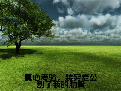 热门章节_笔趣阁（真心考验，装穷老公割了我的肋骨）真心考验，装穷老公割了我的肋骨小说(虞清秦风)章节在线阅读