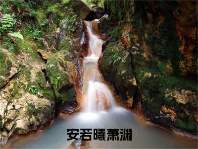 （头条）安若曦萧渊小说(安若曦萧渊)整本免费版阅读无广告（安若曦萧渊）
