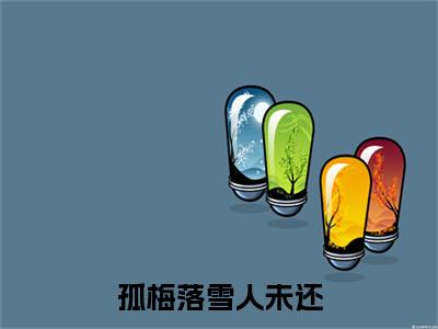 孤梅落雪人未还小说整本+后续（陆怀肃冷月瑶）清爽版阅读