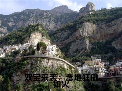 双宝来袭：爹地狂傲如火：结局+番外宝藏文高分小说安染陆霆昱