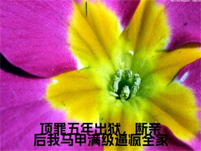 顶罪五年出狱，断亲后我马甲满级逼疯全家后续（苏漾冷砚琛）全篇在线阅读前传