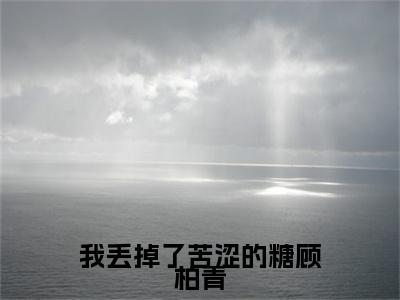 宁可岚顾柏青小说无删减阅读清爽版（我丢掉了苦涩的糖顾柏青）外篇+续集