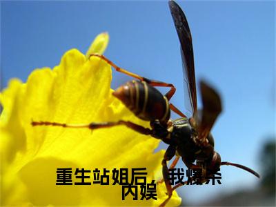 新章速递重生站姐后，我爆杀内娱小说小说结尾阅读无广告（元荔）