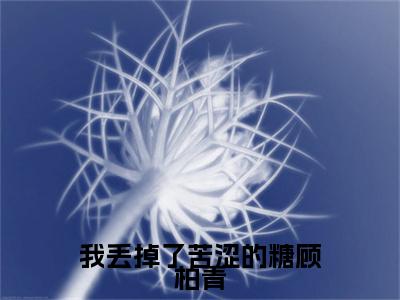 宁可岚顾柏青小说（我丢掉了苦涩的糖顾柏青）TXT无套路在线+无广告结局