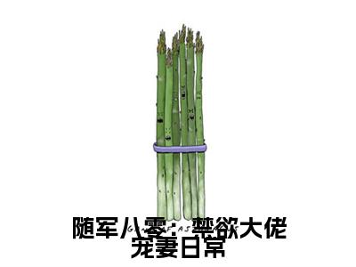 随军八零：禁欲大佬宠妻日常：+后续+番外姜泫无删减小说在线无广告高口碑小说