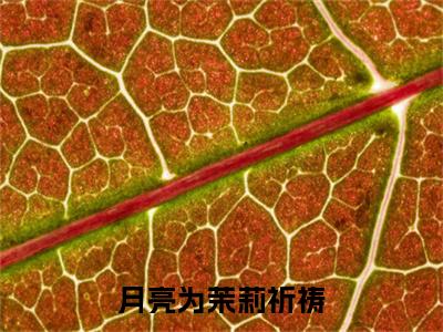 前传江晏屿许妍惜续集:全文+番外月亮为茉莉祈祷：结局+番外新上热文